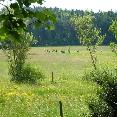 Appartement Haus Zaunwiese Grasellenbach