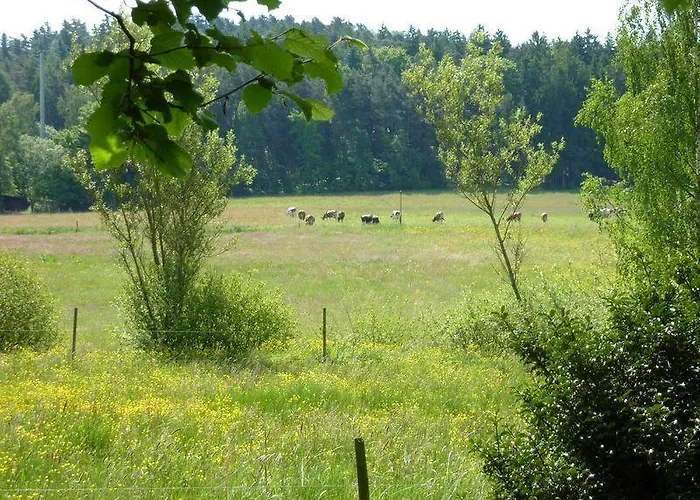 Appartamento Haus Zaunwiese Grasellenbach